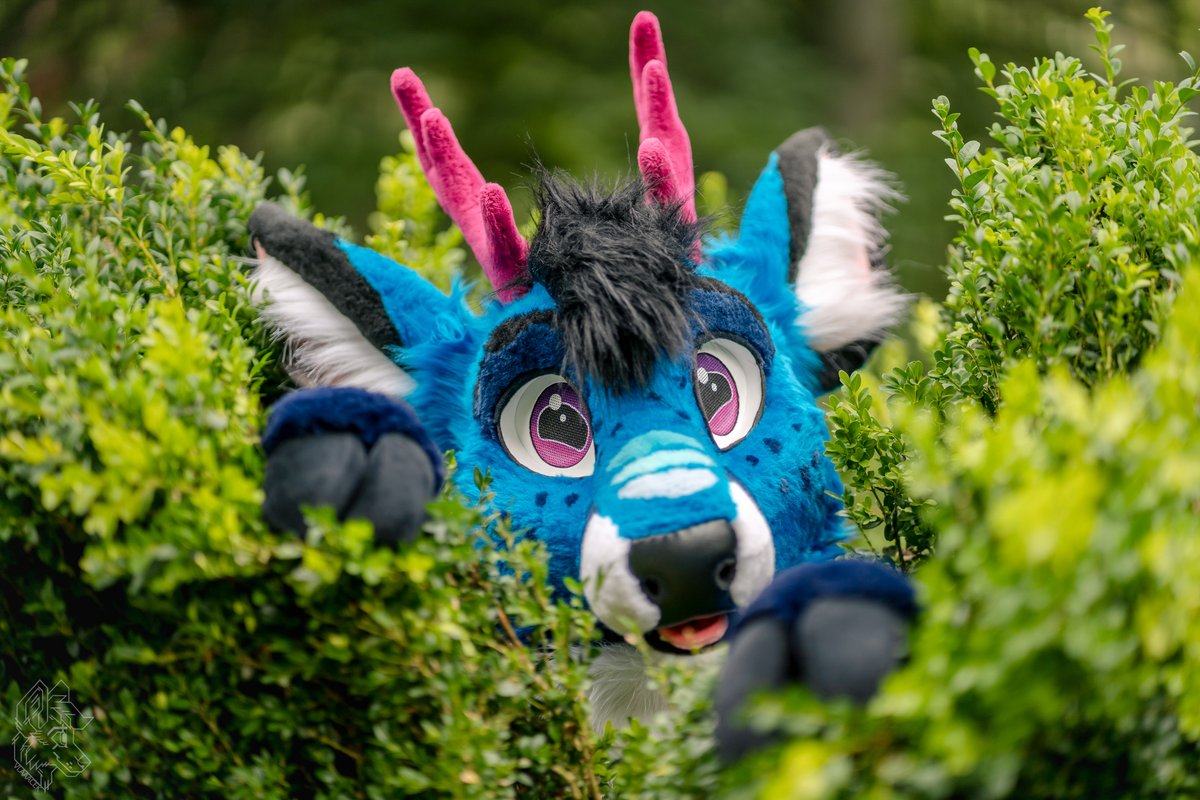 👀

🦌 <a href="/SaphiBleats/">Saphi Bleats 💕 → NFC</a>