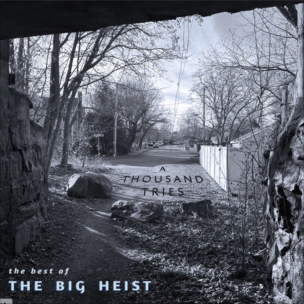 Split Tooth Media tweet media