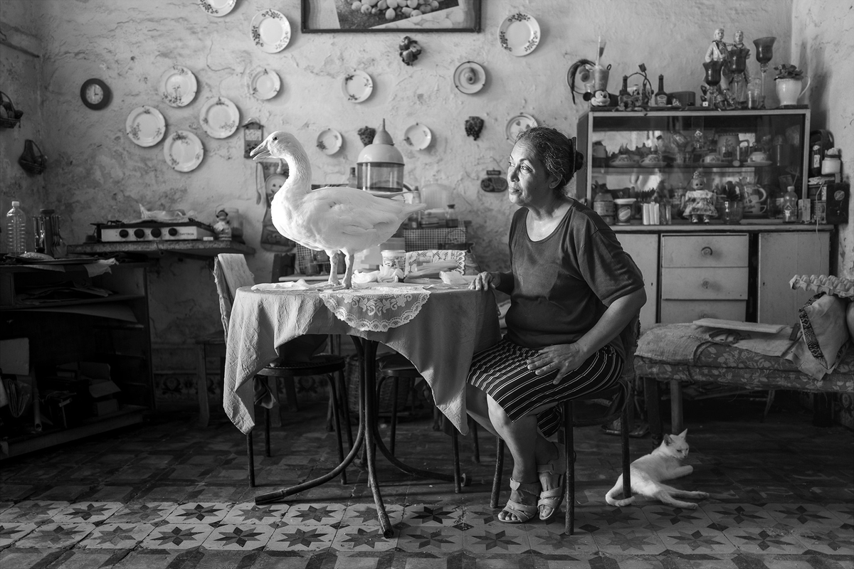 LLC_RHUL's tweet photo. Huge congratulations to our colleague Dr James Kent whose beautiful photographic portrait 'Cary, Axiuli &amp; Haytoo, Havana, Cuba' has been shortlisted for the @NPGLondon's prestigious Taylor Wessing Photo Prize 2024, and will be part of the accompanying exhibition. 1/3 https://t.co/EhbQUJIF8Q
