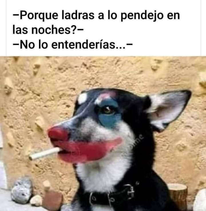 alegomezmty's tweet photo. Jajaja https://t.co/OhTOBNMcWN