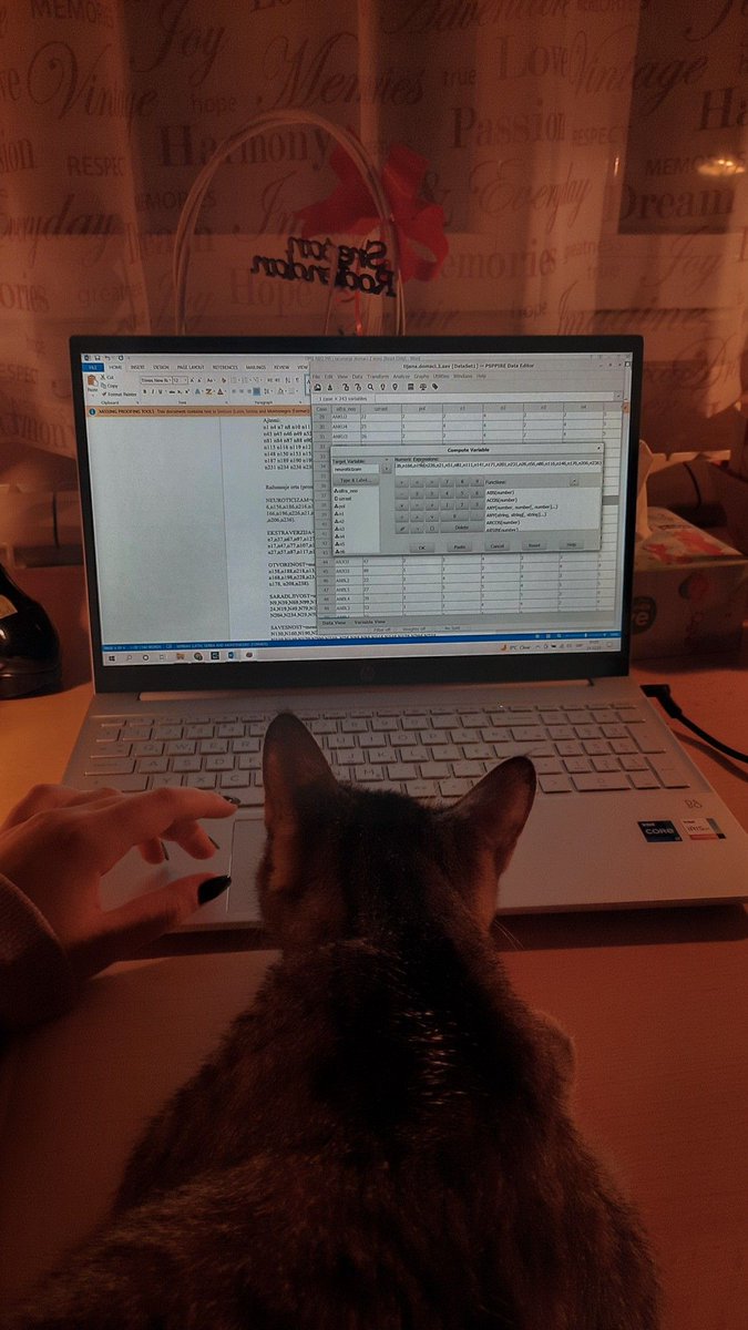 Eloy Portell tweet media