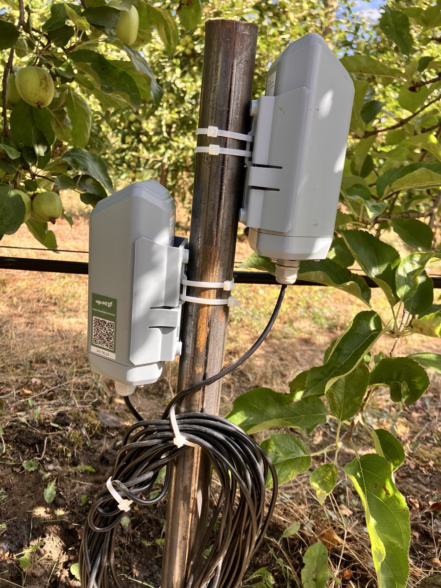 DunavNET's tweet image. The heat is on, but so is #irrigNET! We&apos;re working hard to equip Senta&apos;s farmers with this smart digital solution for irrigation, helping them combat the drought and secure their harvests. 🚜📷 #PSSSenta #Fondzainovacionudelatnost #IoT #GovTechProgram #SmartIrrigation