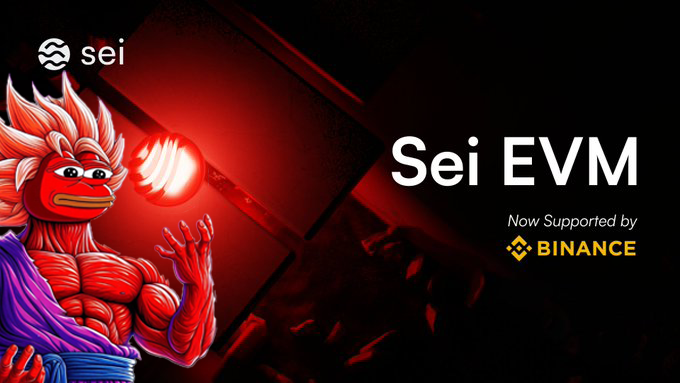 Sei Indonesia tweet media