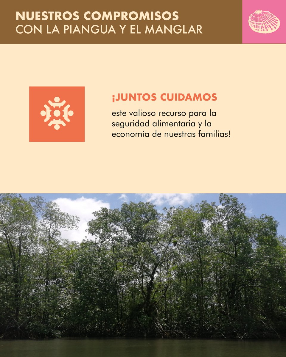 WCSColombia's tweet photo. 🐚La veda de piangua, en el Consejo comunitario de la Costa Pacífica #Concosta, es una medida de manejo establecida por las piangüeras para proteger este recurso pesquero de gran importancia para la seguridad alimentaria y la economía local de las familias costeras.
#PescaVida https://t.co/CxqEHDDi53