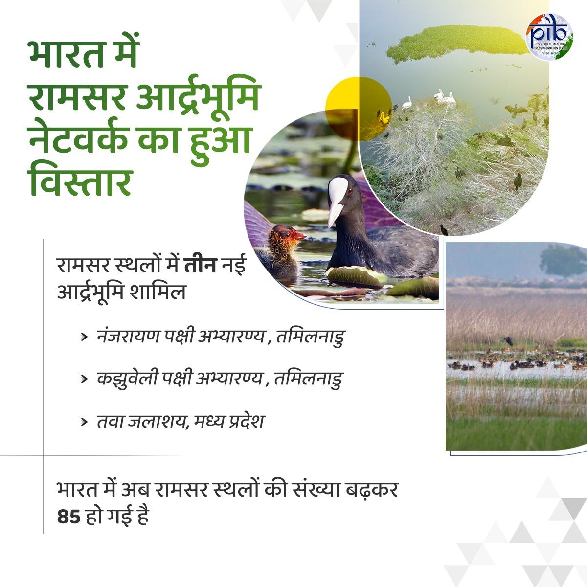 PIBHindi's tweet photo. 🔹भारत में रामसर आर्द्रभूमि नेटवर्क का विस्तार🔹 

रामसर स्थलों में तमिलनाडु के नंजरायण पक्षी अभ्यारण्य , कझुवेली पक्षी अभ्यारण्य और मध्य प्रदेश  के तवा जलाशय को शामिल किया गया है। भारत में अब रामसर स्थलों की संख्या बढ़कर 85 हो गई है। https://t.co/09T0yYoiwB