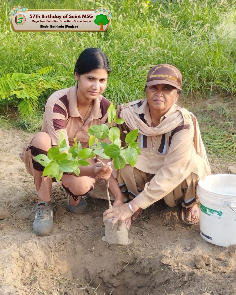 GreenSwelfares's tweet photo. "A tree is known by its fruit, and a person by their deeds." 🍃
In honor of Saint Dr. MSG Insan's birthday, Shah Satnam Ji Green ’S’ Welfare Force Wing volunteers from around the globe united for the #MegaTreePlantationDrive. By planting saplings, they celebrated His legacy of selfless service and care for Mother Earth. 🌍 Every tree planted is a testament to the love and devotion shared with the world.  #PlantATree #MSGBhandara