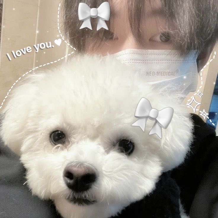 flrsnjulie's tweet photo. всем привет! и это поиск мью 🩰

мои основные фд: nct/wayv, aespa, txt, wooah, class:y, whib, p1harmony &amp; anime!
в основном тут будет щп, так что если вам такое нравится, то welcome 🫶🏻

надеюсь мы подружимся! https://t.co/ajWmgpluDl