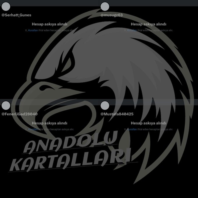 Atatürk'e, Cumhuriyet'e, hayvanlara düşman olan herkesin #AnadoluKartalları 🦅olarak karşısındayız. 

Kaç hesap açarsanız açın, hepsini x çöplüğüne yollayacağız.  🫡