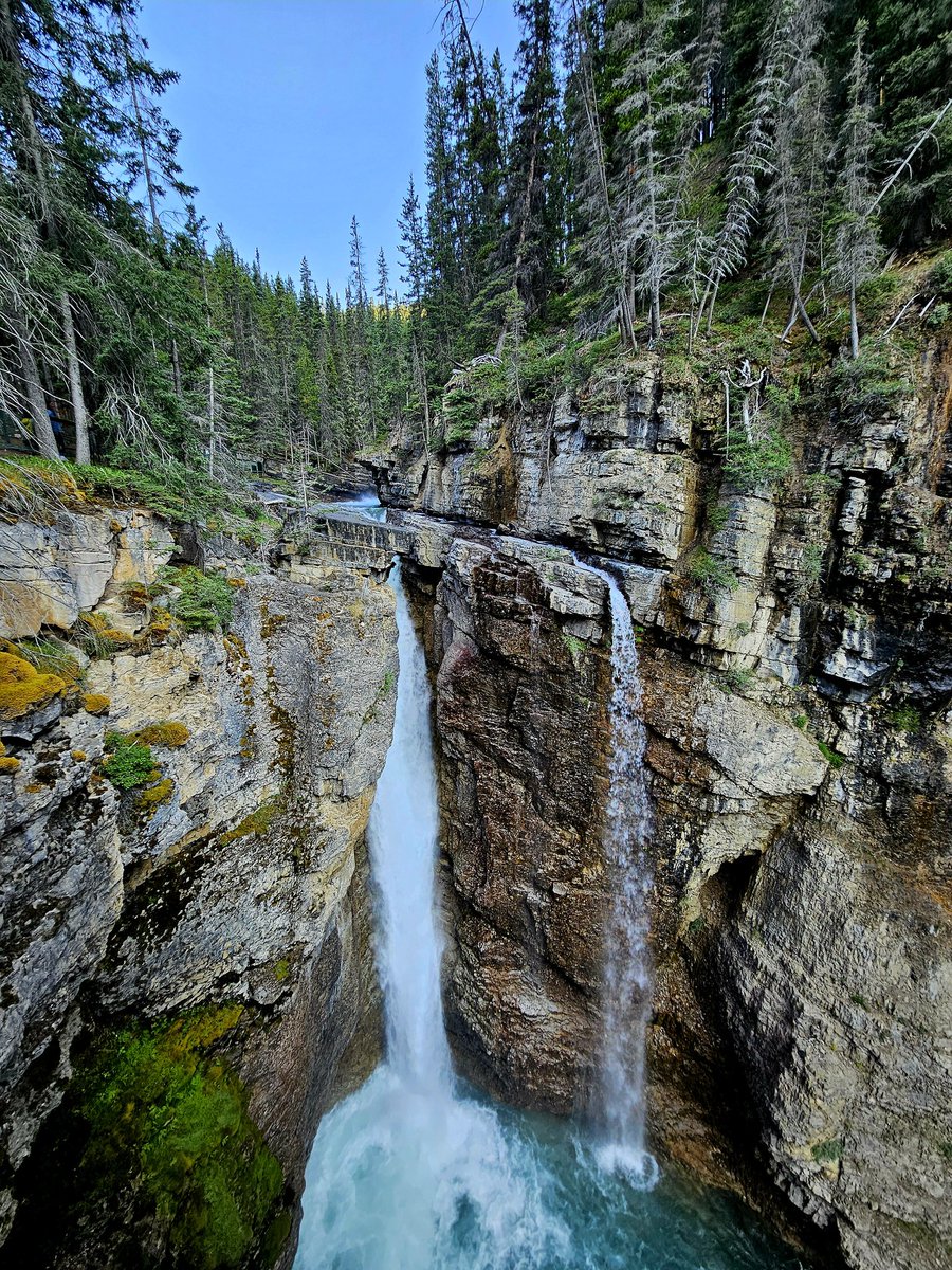 N4V1111's tweet photo. Upper Falls, Johnston Canyon. Nature never disappoints π± π
.
.
#viewfromcamera #photography #nature https://t.co/arEgeMGtGW
