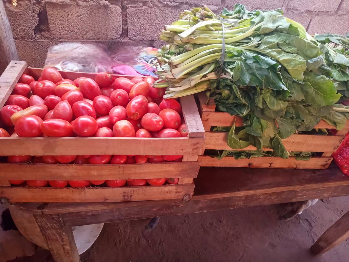 lr_amparo's tweet photo. El hambre no tiene un final feliz.
Es hora de demostrar que en la Arg el hambre en la niñez no tiene lugar y que todos podemos hacer algo para cambiar esta realidad @UNICEFargentina
GRACIAS a productores solidarios   x aportar p la alimentación de  niños/as de nuestros merende https://t.co/RJYH5zUf2p