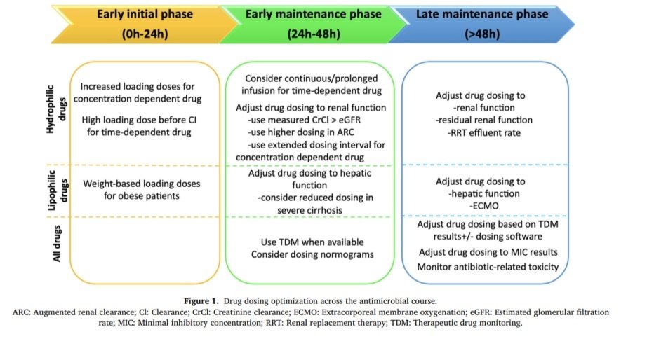 💎Farmacocinética de los Antibióticos en Pacientes Críticos 💉🏥

🧬Alteraciones Fisiopatológicas
🧐Optimización
💊Viejos y Nuevos Antibióticos

🔰📚Journal of Intensive Medicine 2024

doi.org/10.1016/j.join…

Enlace a Artículo Completo 👇🏻✅🆓t.me/SoMELaguna