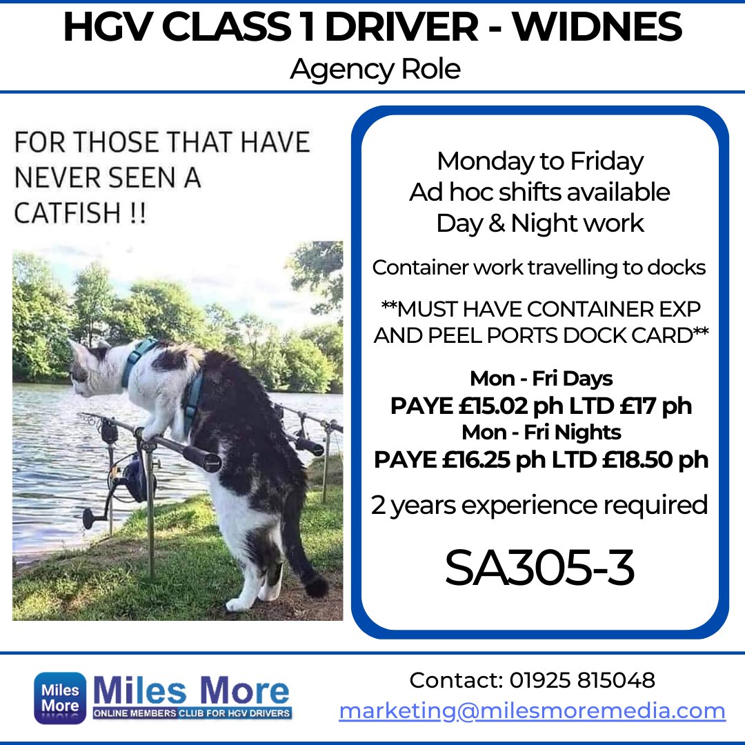 MilesMoreMedia's tweet photo. 🚛SA305-3 HGV 1 Container work
📌Widnes
☎️Apply now!
Call 01925 815048 https://t.co/fjZjk7cuHY