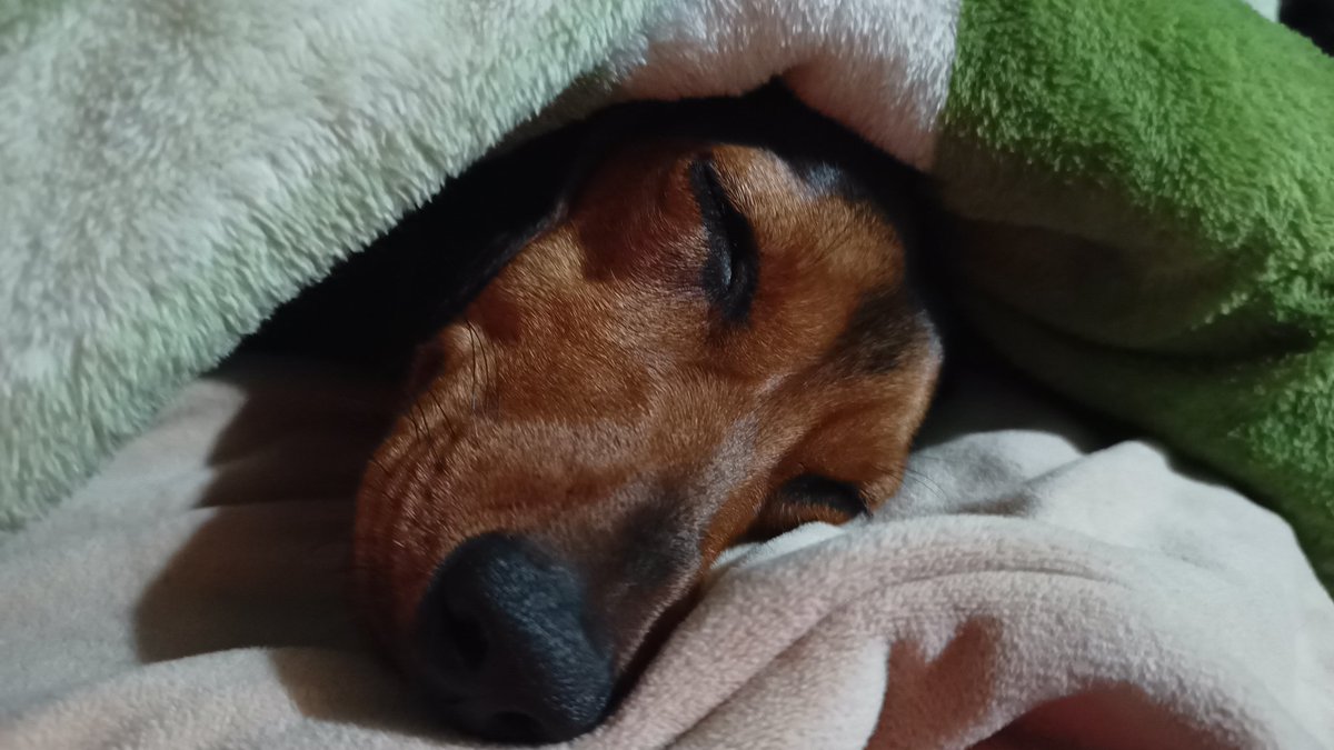 Mi bebé hermosa😍❤️