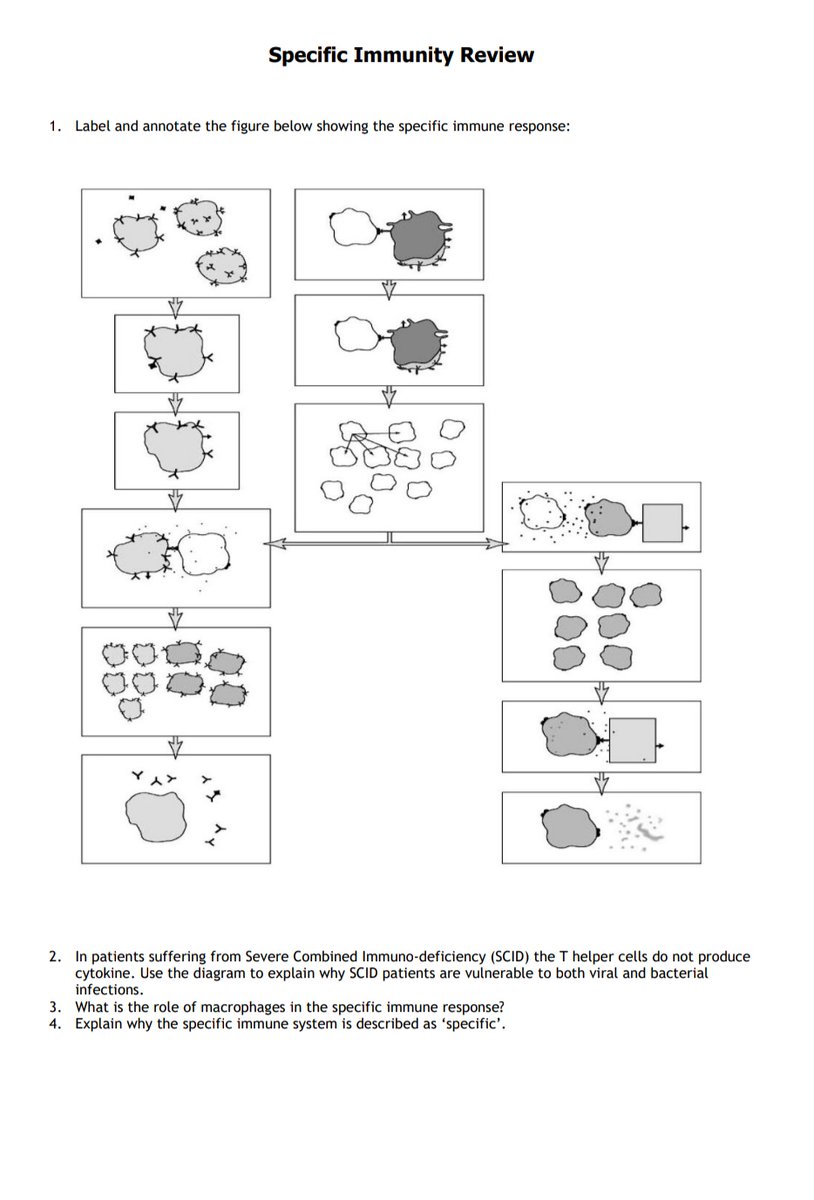I've completed the Topic 6 SLOP booklet! Which means ALL booklets for the A Level Edexcel Biology A are now complete!

In my drive (link in bio) you'll now find a year 12 and year 13 SLOP book. You just need to add a front cover for your school! <a href="/cogscisci/">CogSciSci</a>  <a href="/chatbiology/">Chat Biology</a>