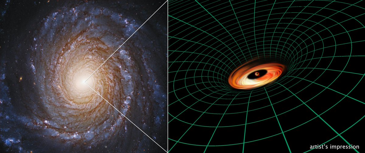 Hubble Space Telescope tweet media