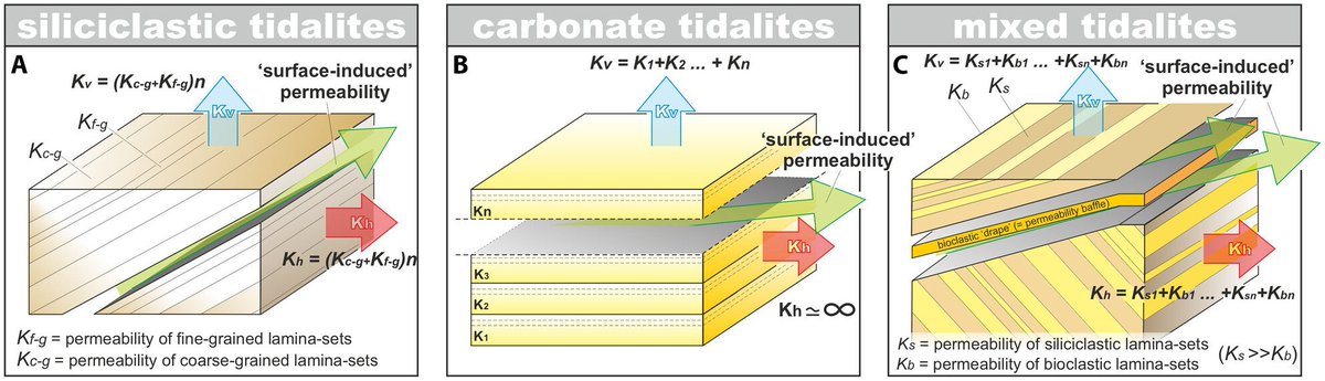 DepositRecord's tweet image. New in TDR
Hierarchies of stratigraphic discontinuity surfaces in siliciclastic, carbonate and mixed siliciclastic-bioclastic tidalites
Domenico Chiarella, Sergio G. Longhitano, Luigi Spalluto, Allard W. Martinius
doi.org/10.1002/dep2.3…