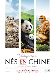 merlinpapin3's tweet photo. .@FredOL69007 On souhaite un Bon Anniversaire à  #RoyConli qui a 53 ans Producteur on lui doit

Ours Polaire
Avalonia
Nés en Chine
Penguins
Blue
Les Nouveaux Héros
Sur la Route des Elephants https://t.co/kCd6znXcAC