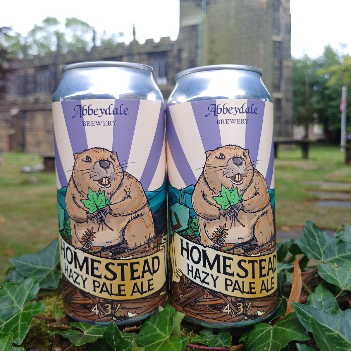 HOMESTEAD - 
1. a house and the surrounding area of land, usually used as a farm.
2. a Hazy, low bitterness Pale from <a href="/AbbeydaleBeers/">Abbeydale Brewery</a> with  plenty of juicy, tropical flavours.
Available instore and online now. (The beer, not the real estate).
 #sheffieldissuper #barnsleyisbrill