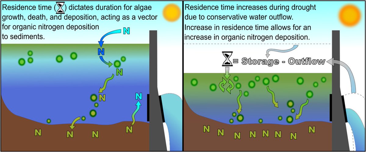Benjamin Webster (@bencwebster) on Twitter photo Excited to announce of my dissertation chapters is published in Water Reaserch! Feel free to read about how Average Annual Residence Time impacts Nitrogen Deposition in Reservoirs tinyurl.com/2xm63wez . Thanks again coauthors <a href="/Waters_Paleolim/">Matthew Waters</a> and <a href="/Bankclimber/">Stephen Golladay</a> Excited to announce of my dissertation chapters is published in Water Reaserch! Feel free to read about how Average Annual Residence Time impacts Nitrogen Deposition in Reservoirs tinyurl.com/2xm63wez . Thanks again coauthors <a href="/Waters_Paleolim/">Matthew Waters</a> and <a href="/Bankclimber/">Stephen Golladay</a>