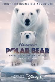merlinpapin3's tweet photo. .@FredOL69007 On souhaite un Bon Anniversaire à  #RoyConli qui a 53 ans Producteur on lui doit

Ours Polaire
Avalonia
Nés en Chine
Penguins
Blue
Les Nouveaux Héros
Sur la Route des Elephants https://t.co/kCd6znXcAC