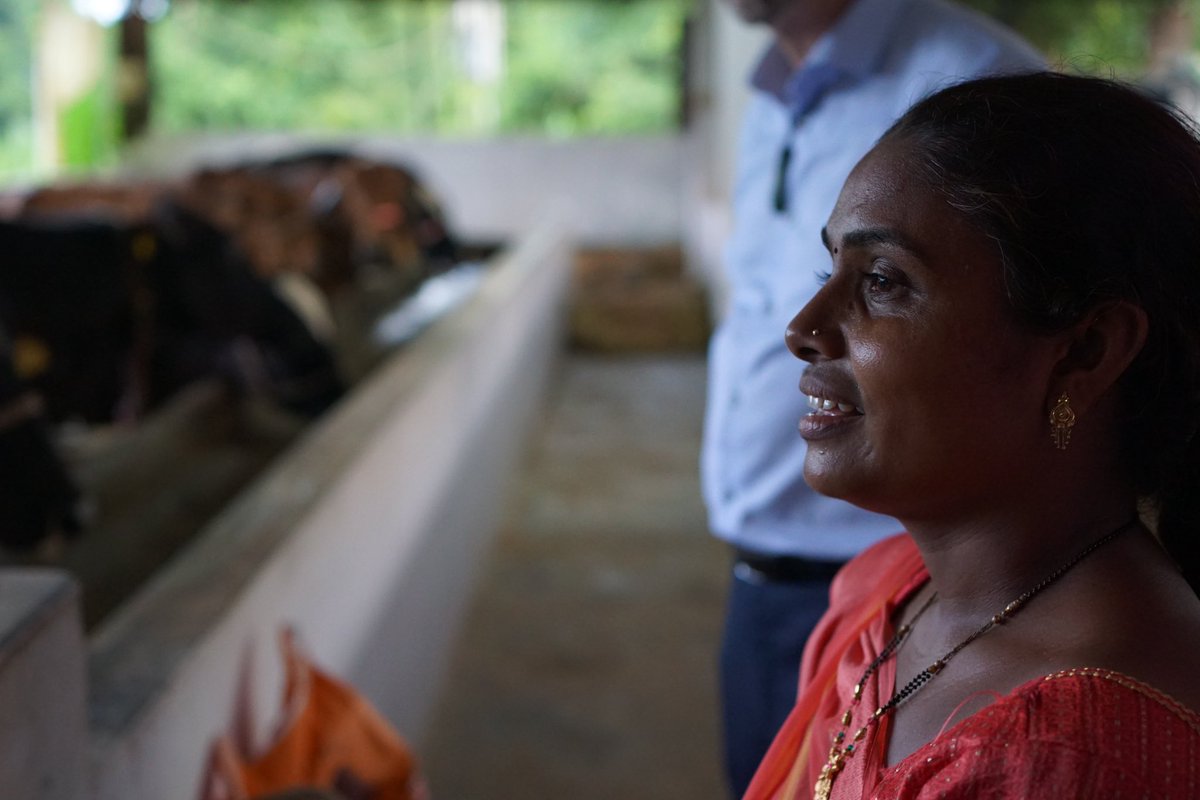 toddmcclaymp's tweet photo. On my final stop in 🇮🇳 I visited a local @Amul_Coop farm and milking to gain a practical sense of dairy operations and the communities supported by the sector. 
There are exciting opportunities for 🇳🇿 and 🇮🇳 to partner and cooperate to boost our respective agriculture sectors. https://t.co/zgSM9UgqQ5