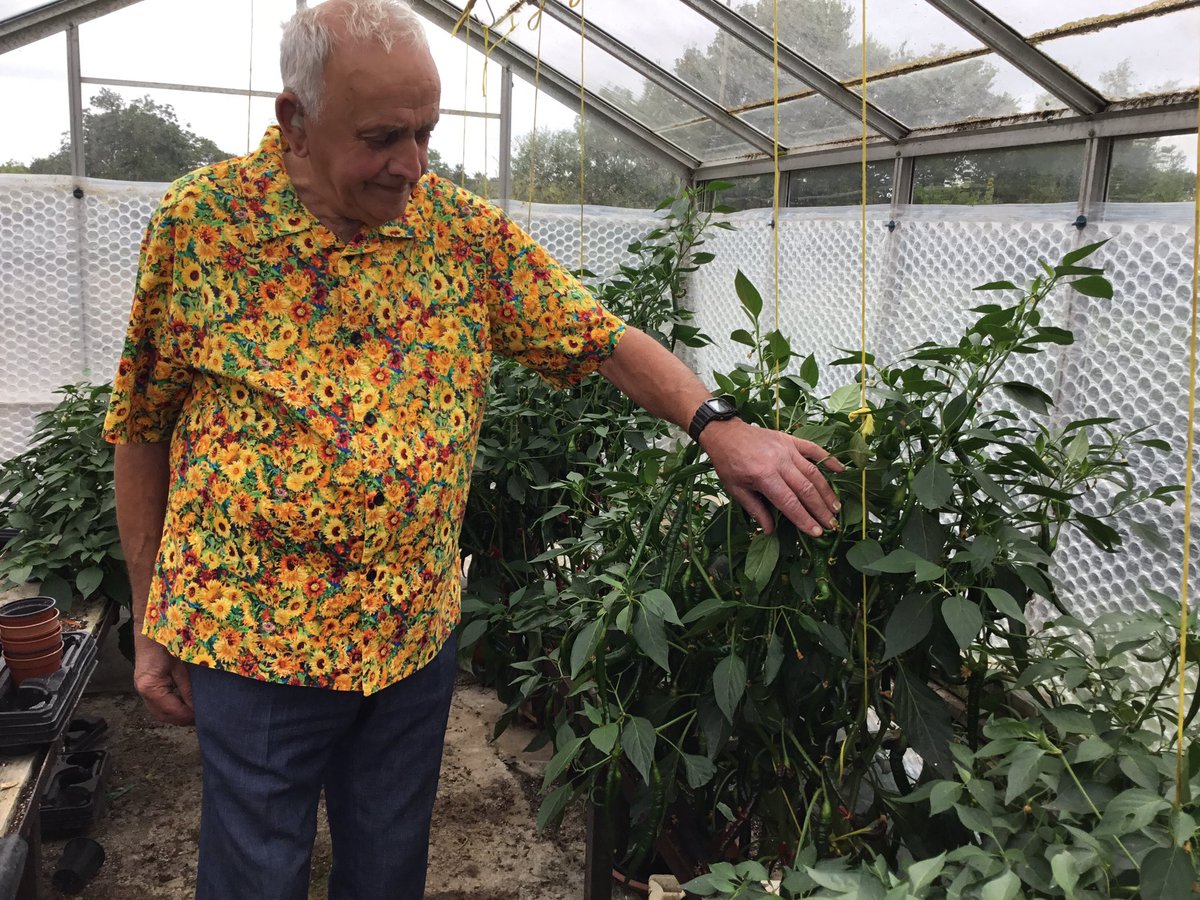 🌶️ 🌶️🌶 ready to pick and eat.