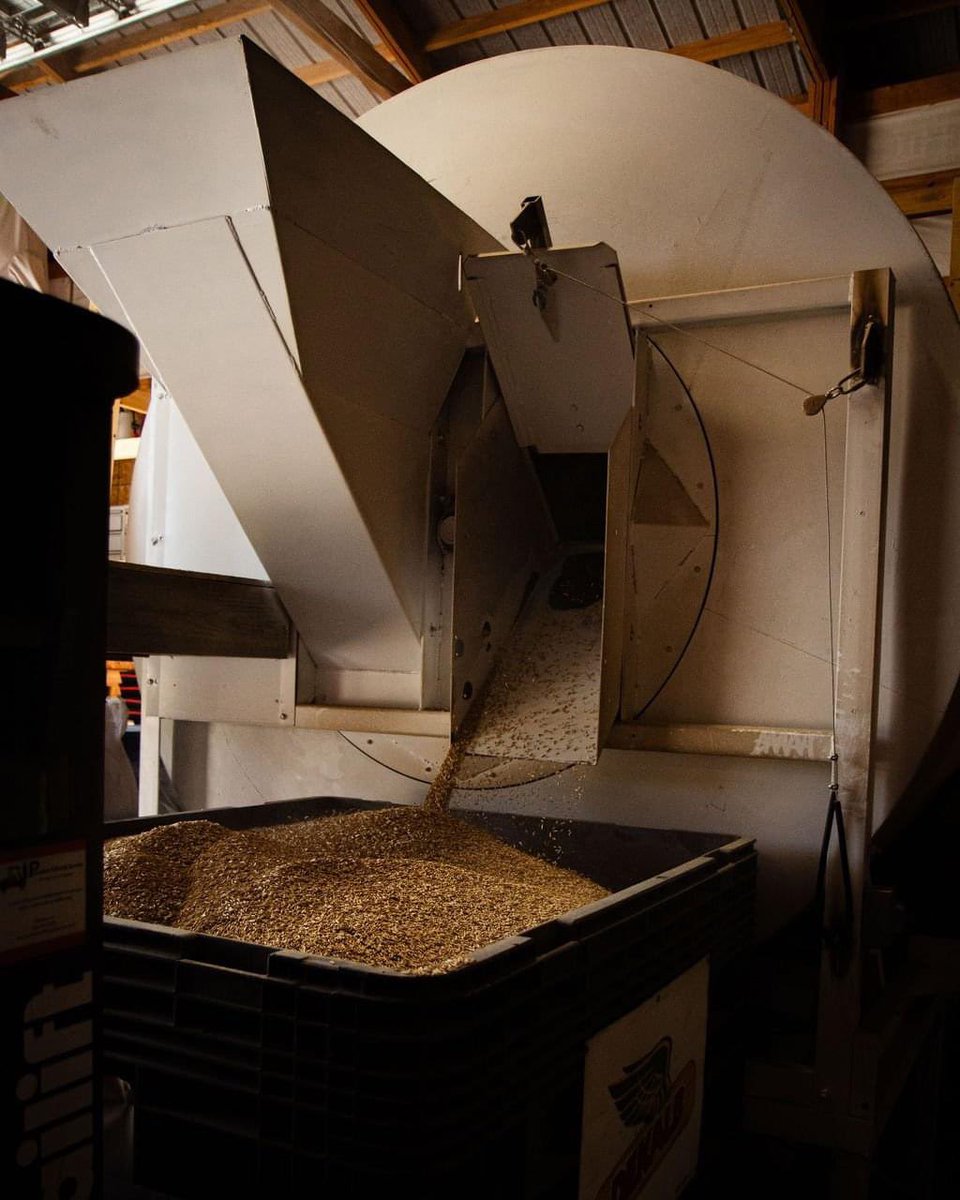 We’ve been blending more than cocktails lately. 🍹