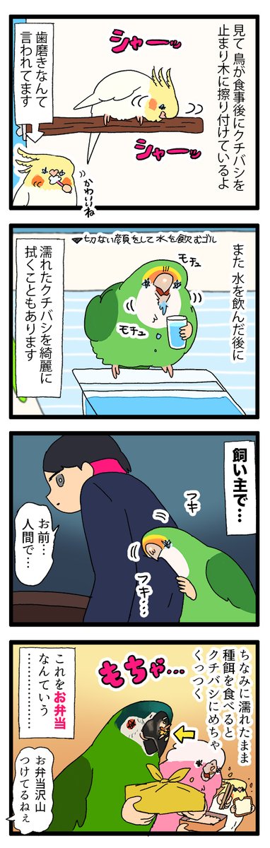 インコ達、当然みたいな顔して飼い主の服でくちばし拭くじゃん🦜

1895 #えるポピの絵日記かくところ 