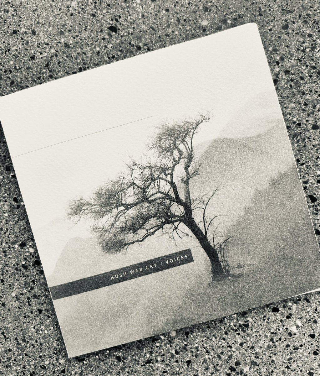 Delphi Label tweet media