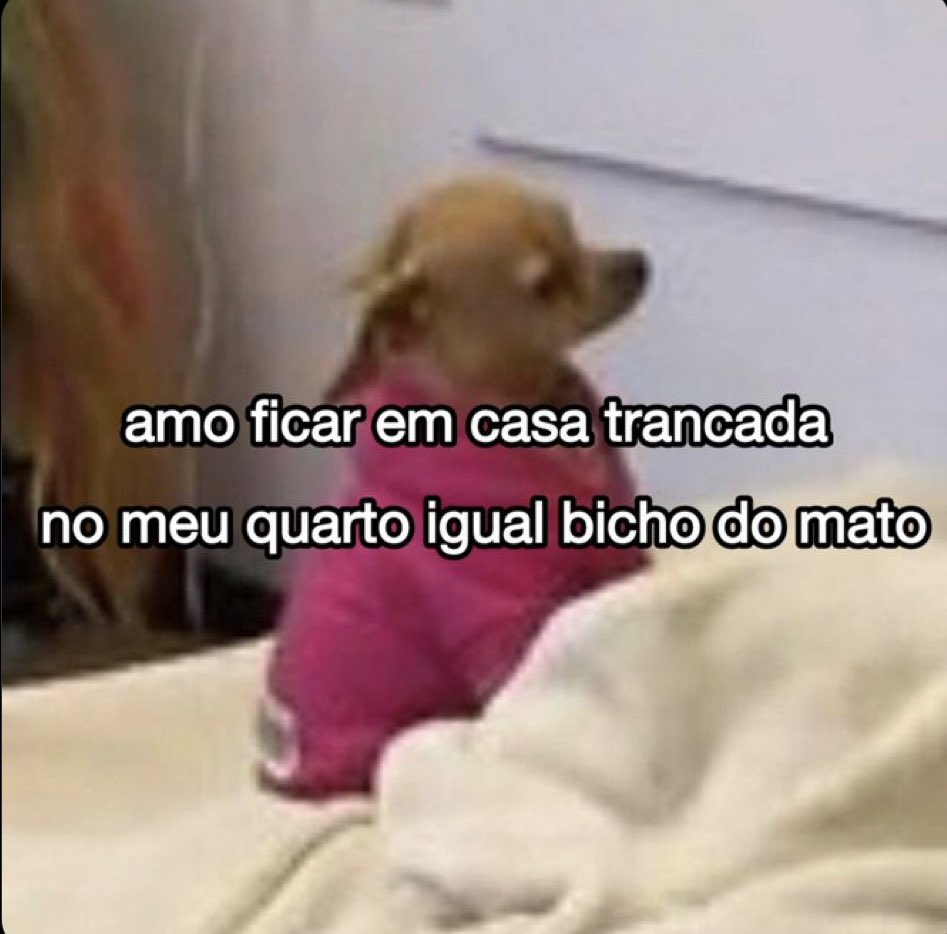 Privacidades's tweet image. 