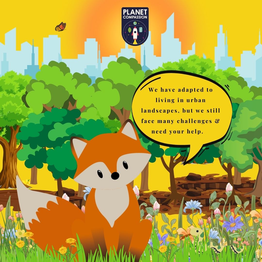 PlanetCompass's tweet photo. We'll be popping up in Waltham Forest green spaces this summer, helping families to keep a nature/tech balance. Initially focusing on our cities most resilient mammal, the red fox 💕

#londonwildlife #fox #redfox #urbanwildlife #WildlifeWednesday #walthamforest https://t.co/hE36eO25xc