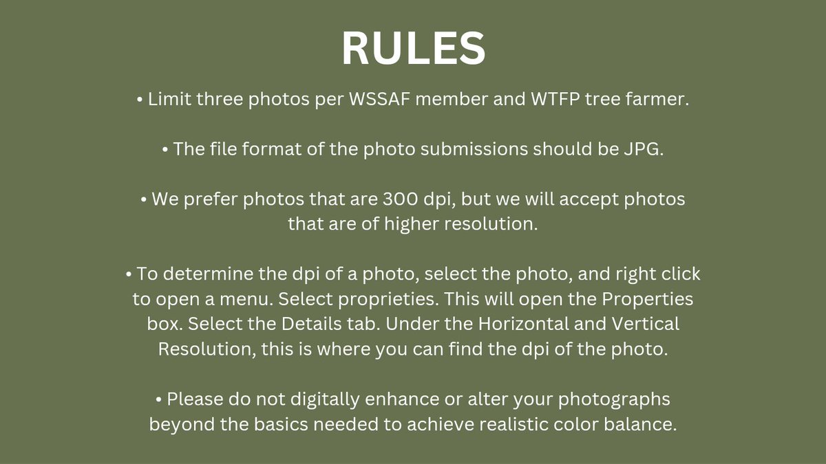 WashingtonSSAF's tweet photo. Do you have a forestry photo worthy of being the cover of the 2025 Tour of Washington Forestry calendar? 🌲 If so, we want to see it!

To enter, see the attached images for photo contest rules and submission instructions. Entries must be received by midnight on September 30th! https://t.co/RXCqAwQXe1