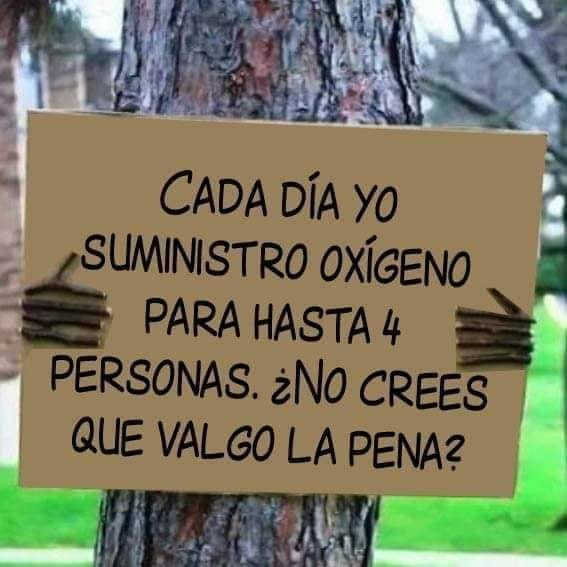RincnCuriosoo's tweet photo. https://t.co/lIPjojCxjc
