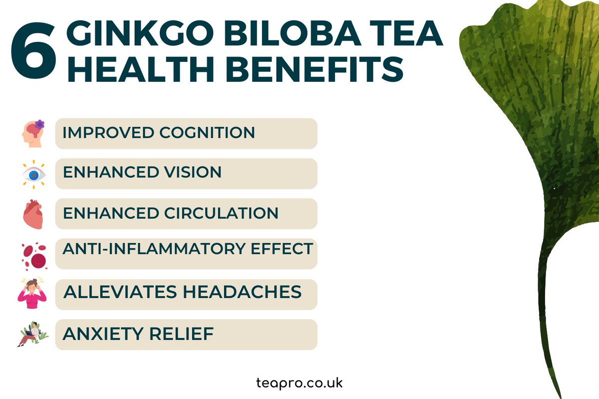 Did you know that ginkgo biloba holds very strong cultural significance in China and Japan largely because of its incredible health benefits. Find out why in our article that takes a closer look.
teapro.co.uk/7-remarkable-h…