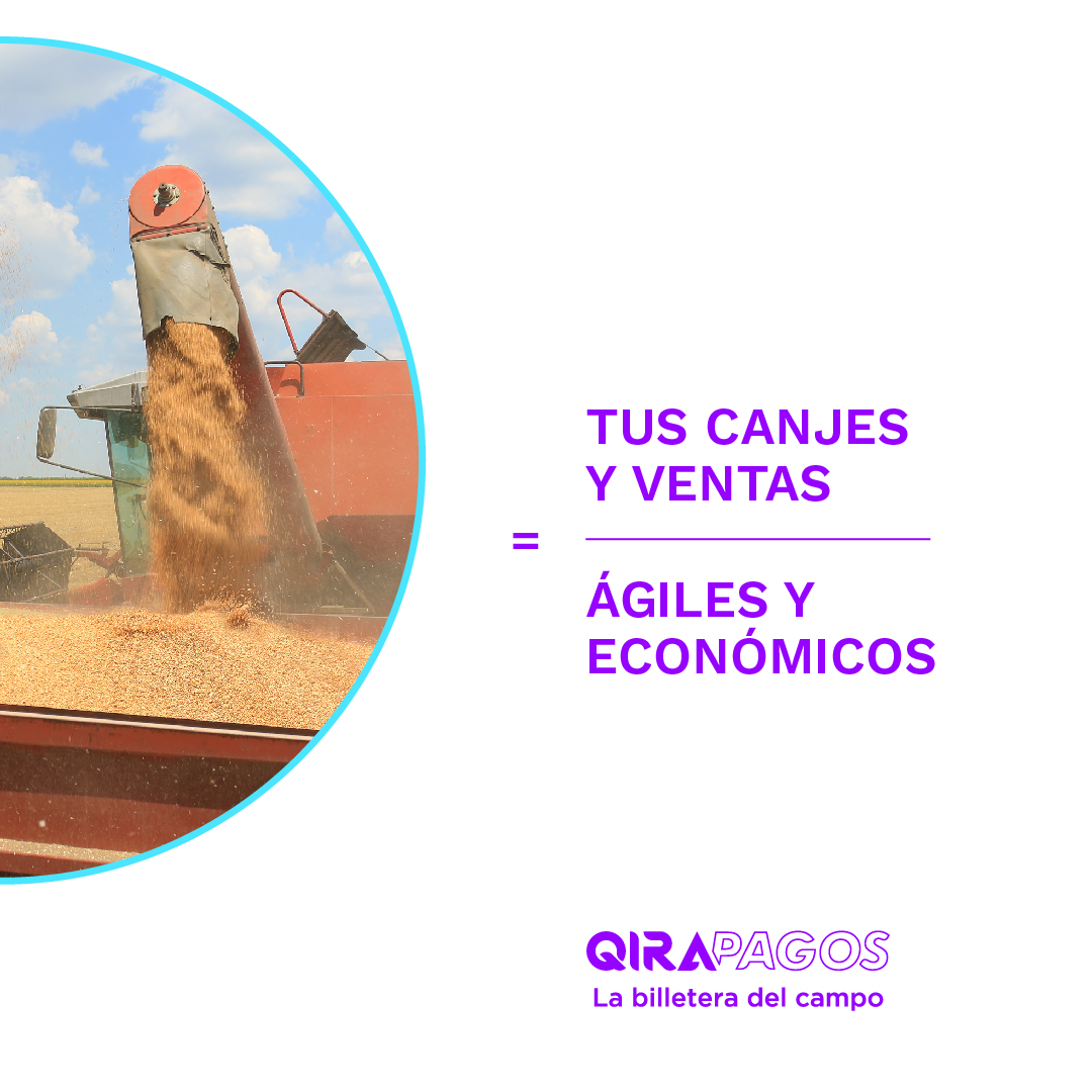 qirapagos's tweet photo. Conocé una solución accesible para gestionar tus granos. 👨🏻‍🌾🤳🏻

Con QIRA Pagos, podés tener una billetera agrícola fácil de usar, en donde tus canjes o ventas de granos serán más ágiles.

No esperes más y sumate a la billetera del campo.

#QIRAPagos #BilleteraVirtualAgrícola https://t.co/41fkTMyapr