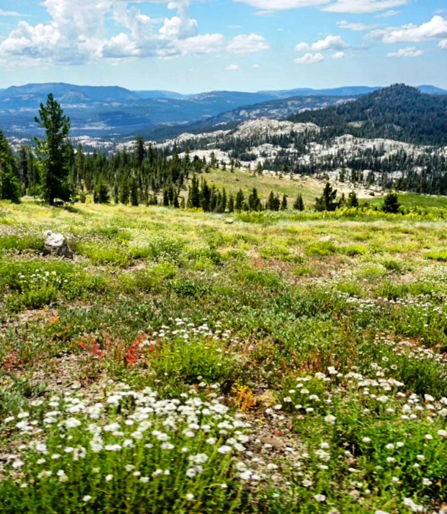 A most beautiful hike in Tahoe 💚
#hike #outdoorfun #Outdoorplay