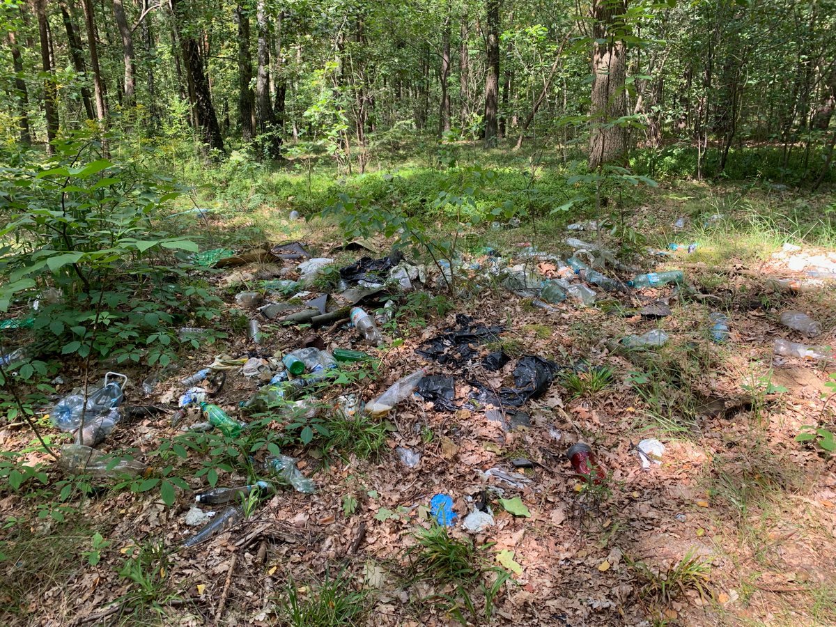 EUSTAFOR's tweet photo. Shots from recent visit to the forest. #stateforesters remove tons of garbage from #forests every year, while littering continues. Only clean forests can be resilient and biodiverse. @EUSTAFOR will welcome a campaign to prevent forest littering as part of the #EUForestStrategy https://t.co/BIfCT0aC7m