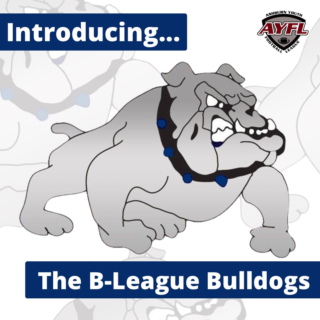Continuing with our countdown to the Jamboree, let’s introduce the next 2024 Fall Tackle team!

Next up: The B-League Bulldogs
Sponsored by: <a href="/CarolinaBrosBBQ/">Carolina Brothers</a> 

Let’s go, Bulldogs! Have a great season!

#AYFL #Ashburn #Loudoun #NOVA #YouthFootball #Football