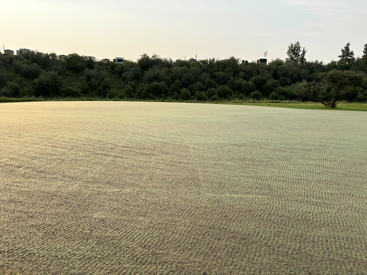 Mitch Davidson tweet media