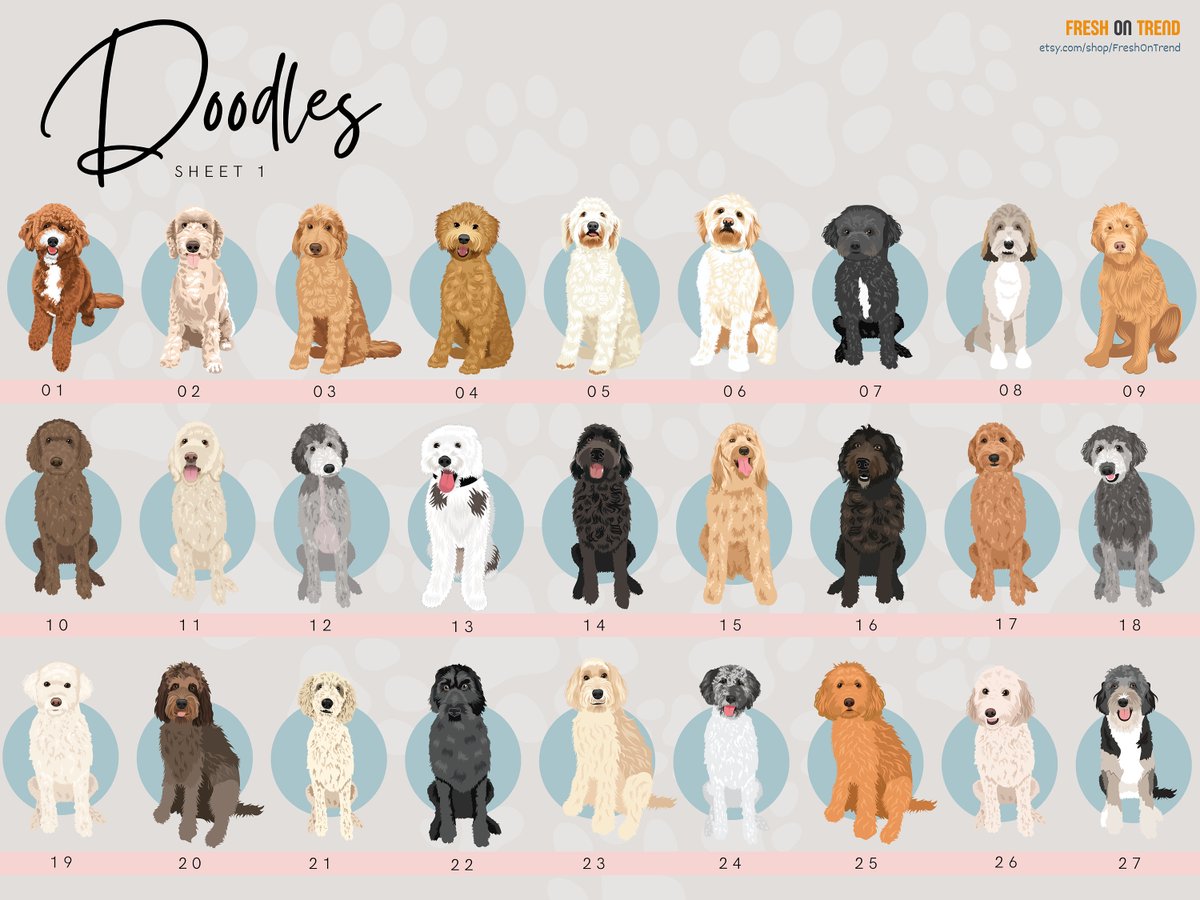 Goldendoodle Labradoodle Personalized Christmas Shirt Custom Dog Name T-Shirt for Golden Doodle Pet Dog Mom Xmas Holiday Season Gift Tee etsy.com/listing/152406…
 #GoldendoodleShirt #LabradoodleShirt