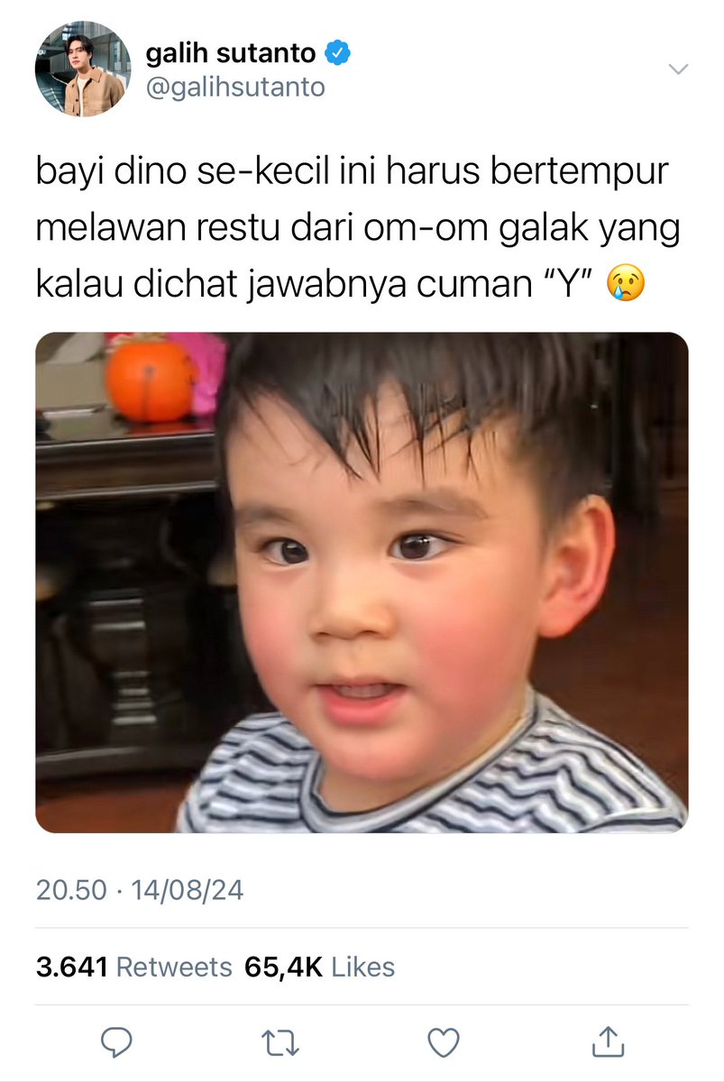 don tweet media