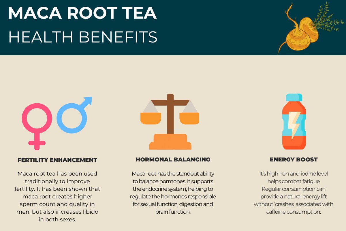 Maca root has been clinically proven to provide three health benefits. It can increase fertility and libido in both sexes, balance hormones and provide a natural energy boost. Find out more in our article
teapro.co.uk/8-science-back…
