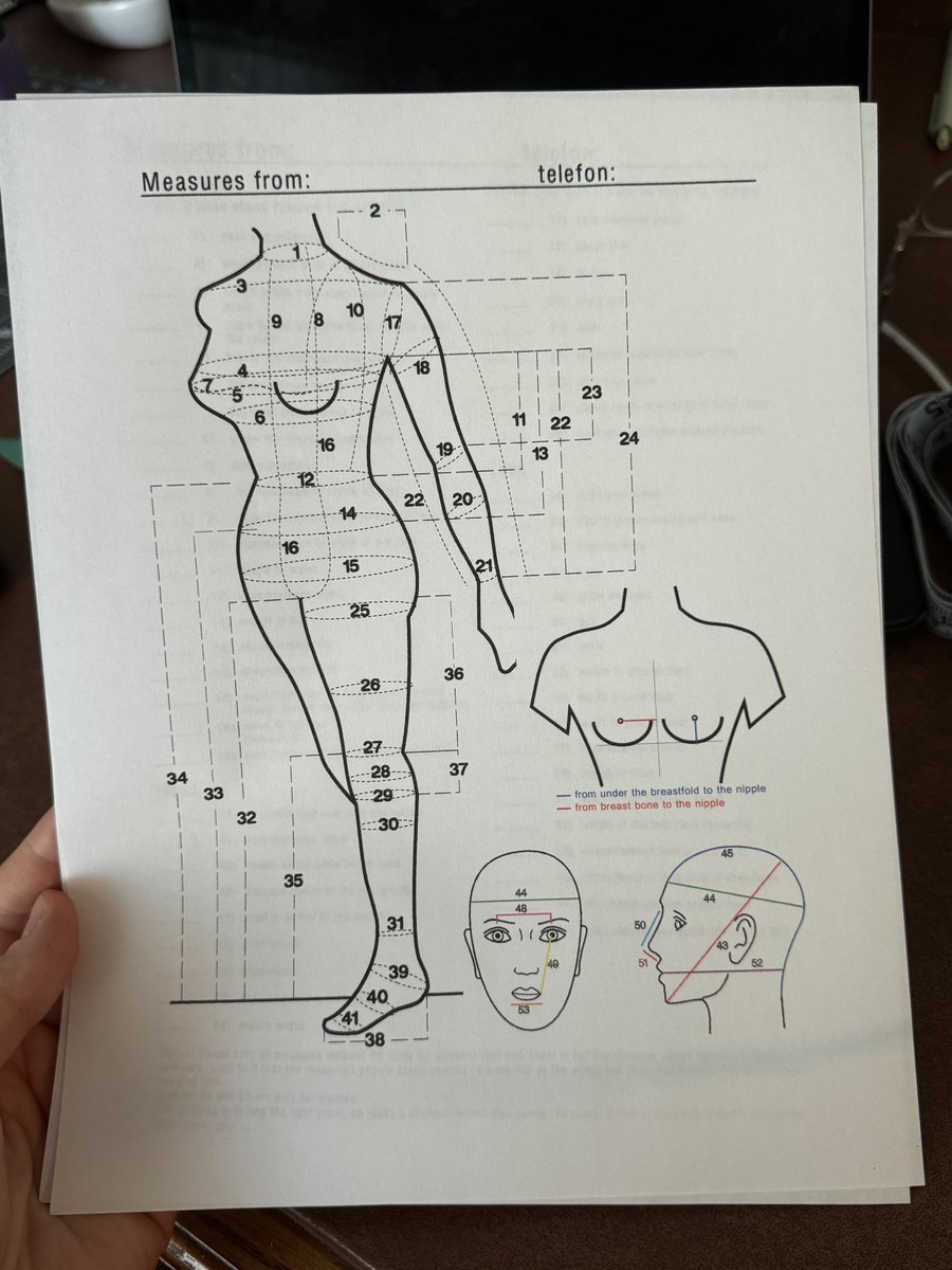 alice white 🍋🥚 tweet media