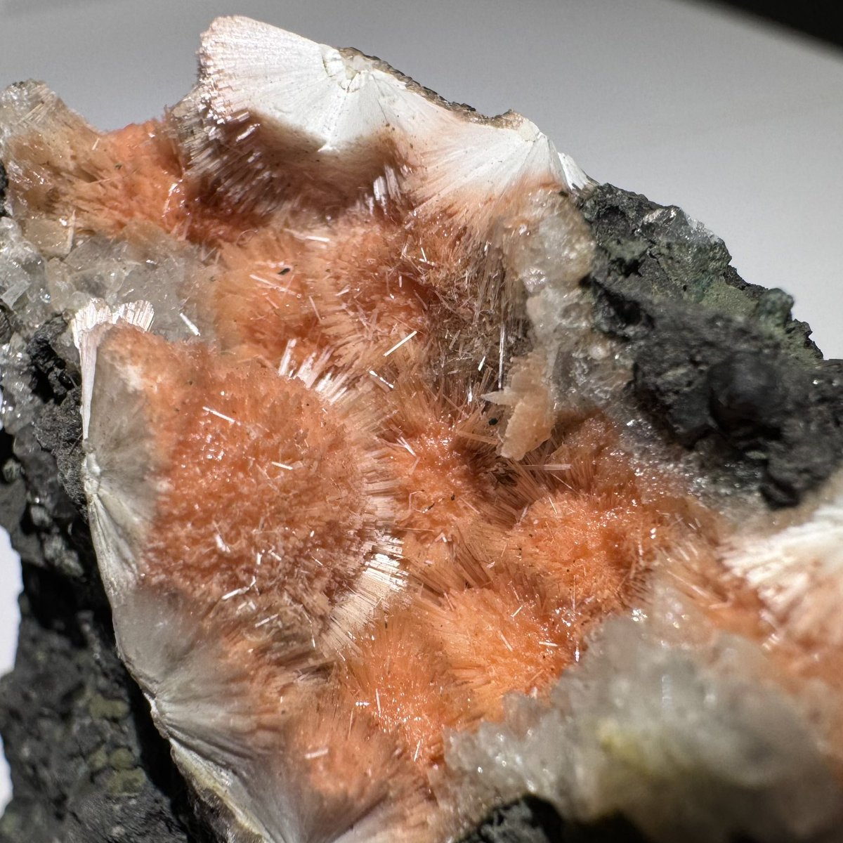 exoticcrystals's tweet photo. ⚜️Stunning Orange Thomsonite and Mesolite with Heulandite from Madhya, Pradesh, India✨ #mesolite #thomsonite
#india https://t.co/ZDngCSg9UZ