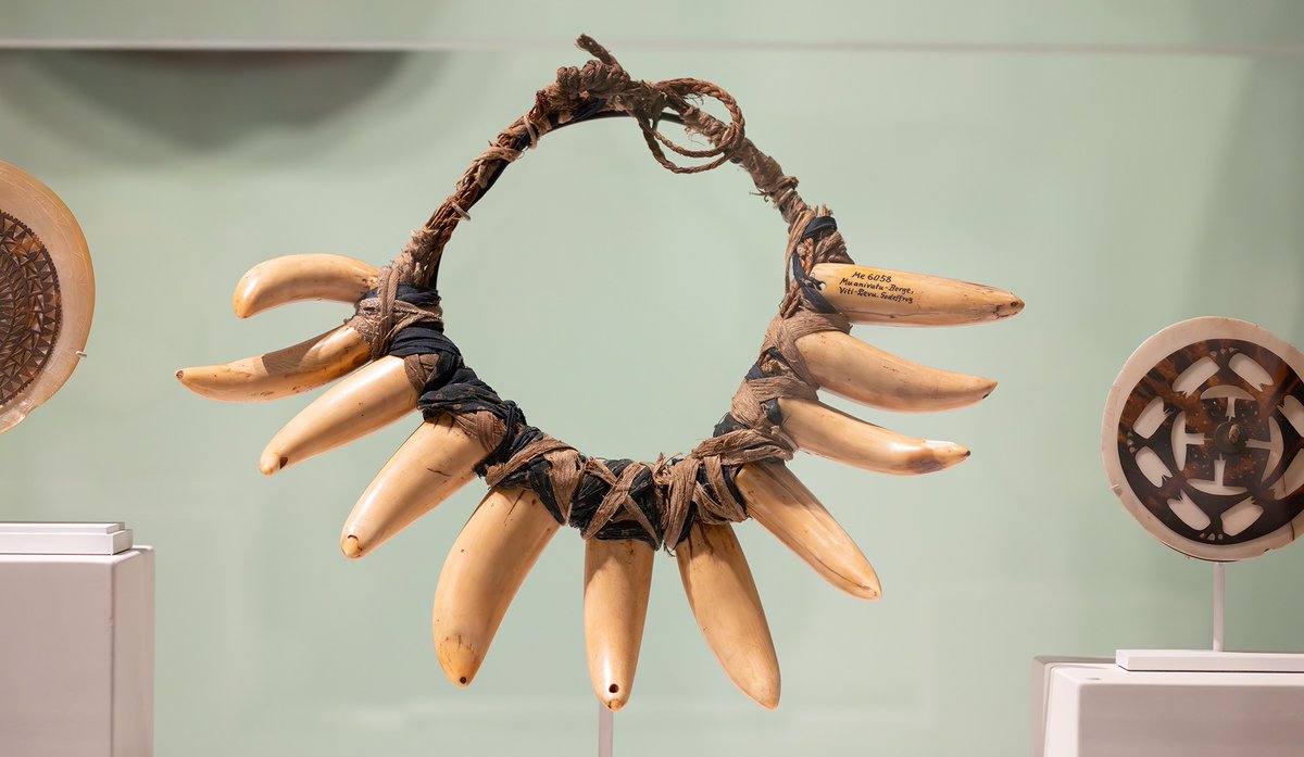 ‘Living cultures’: Check out the Yale Peabody Museum’s new Hall of the Pacific, which introduces visitors to a wide diversity of Pacific cultures.

Plan your next <a href="/yalepeabody/">Yale Peabody Museum</a> visit and learn more here: bit.ly/3WBuP0p #Yale