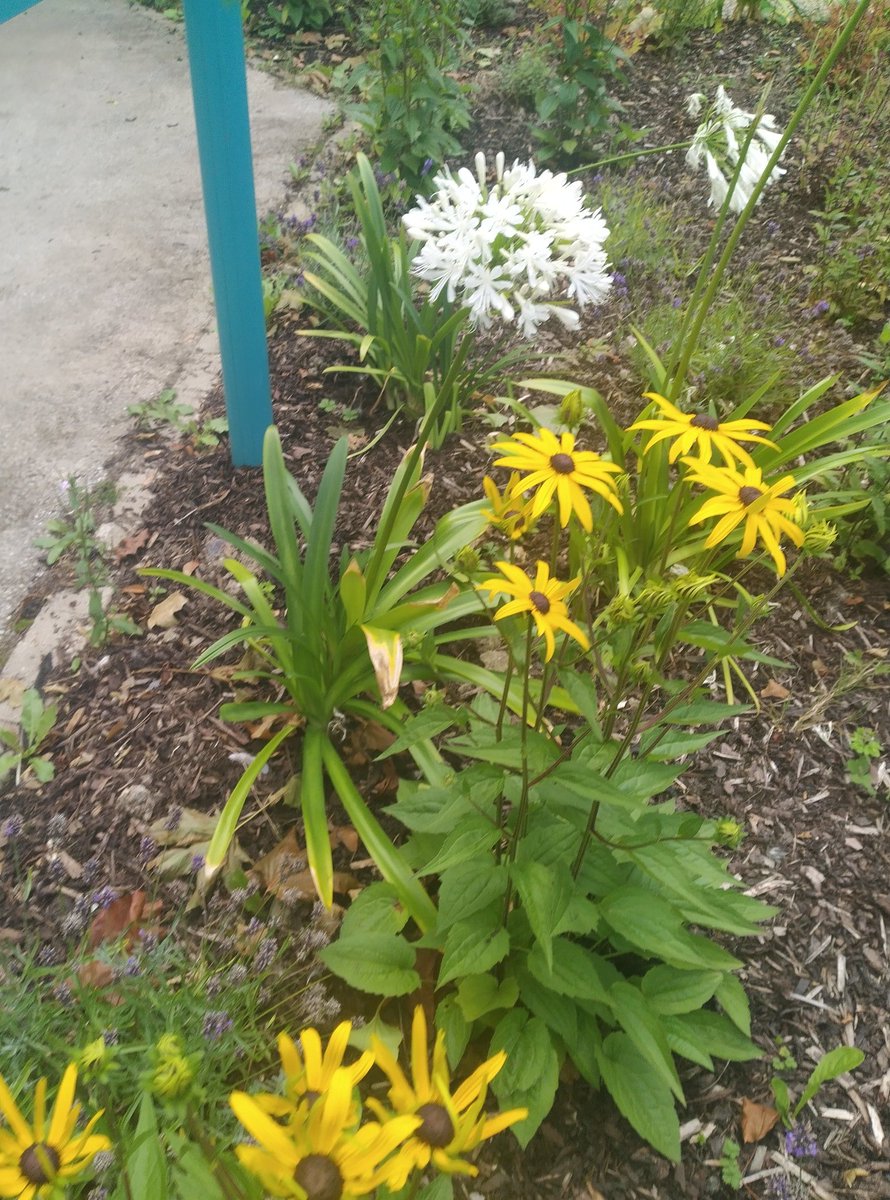 BettinaRezania's tweet photo. Day 590 back to routine...#600daysofwalking #100daysofwalking https://t.co/Ffk8RtxdaL