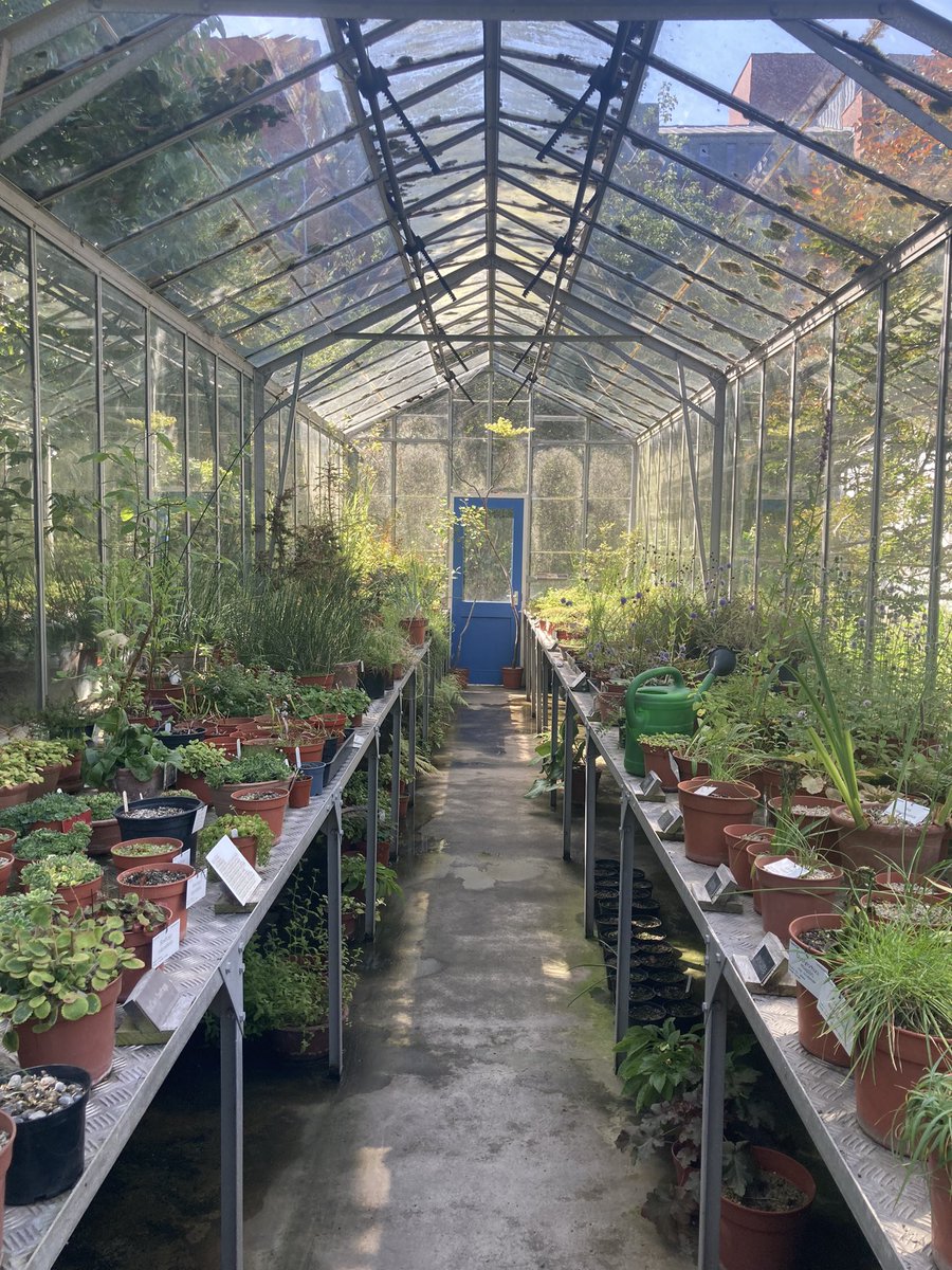 Kieran Sparling tweet media