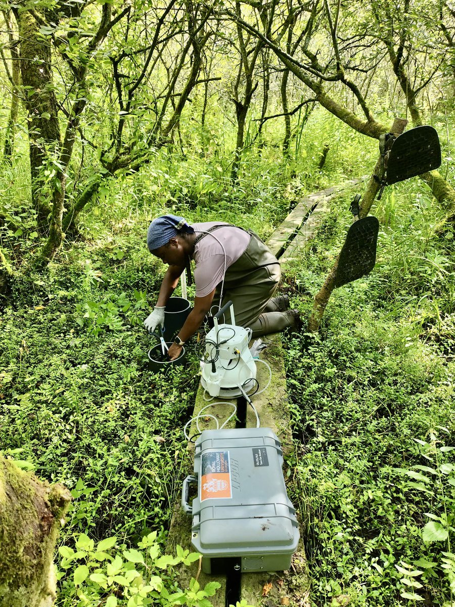 Another interesting milestone! We’ve collected our first set of CH4 and CO2 flux data at the Wheatfen site in Norfolk using <a href="/LICOR_ENV/">LI-COR</a>’s cutting-edge soil gas flux survey systems. The initial data reveals fascinating dynamics and we’re excited to see what new findings it unfolds.