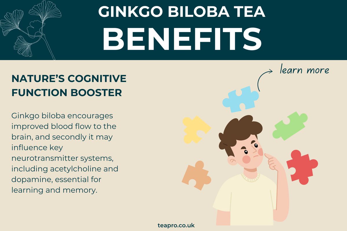 Ginkgo biloba bolsters cognitive function through its ability to aid neurotransmitter systems. In a recent American study, the ginkgo biloba encouraged high levels of acetylcholine and dopamine, essential for cognitive function. Click here to discover.
teapro.co.uk/product/ginkgo…