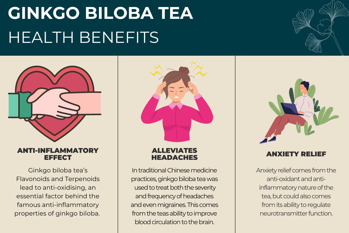 Ginkgo biloba’s high nutrient level, flavonoid and terpenoid make it a great anti-inflammatory. Beyond just that, ginkgo biloba can alleviate headaches and provide anxiety relief. Click here to discover for yourself.
teapro.co.uk/product/ginkgo…